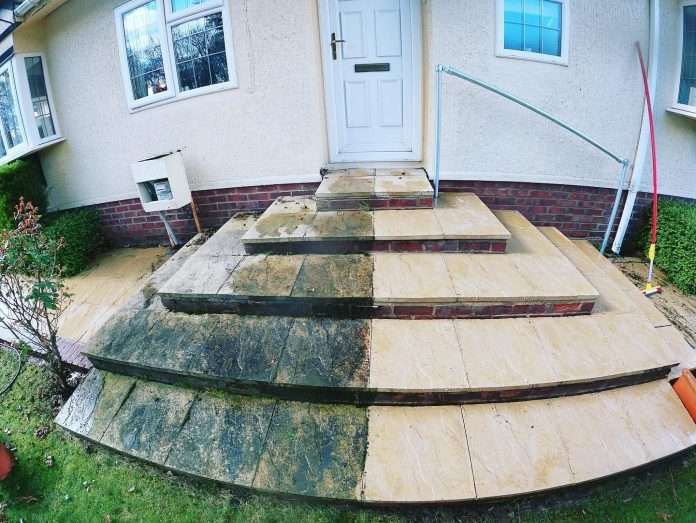Fresh Roots Cleaning & Tree Care