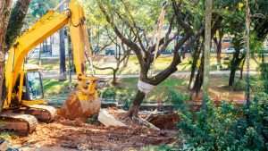 Tree Removals Clonakilty County Cork