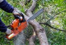 Tree Topping Adare County Limerick